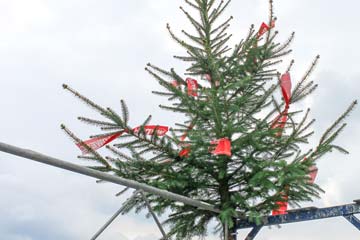 Bild Aufrichte-Baum am Urfer-Müpro Firmensitz-Neubau