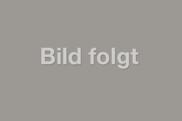 Marco Carrara, Einkauf, Produktion, Offertwesen, Urfer-Müpro AG